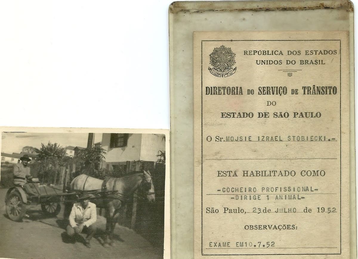 "Cocheiro profissional — dirige 1 animal": a habilitação de 1952